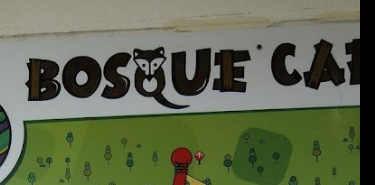 Bosque Caricias los Leones